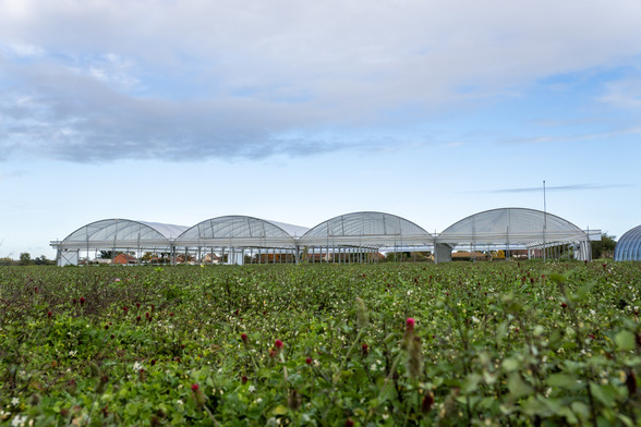 Serres agricoles sur le site de Paray-sous-Briailles en Auvergne